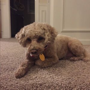 Meet your Posher, Christine